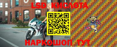spice Кингисепп