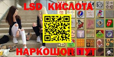spice Кингисепп