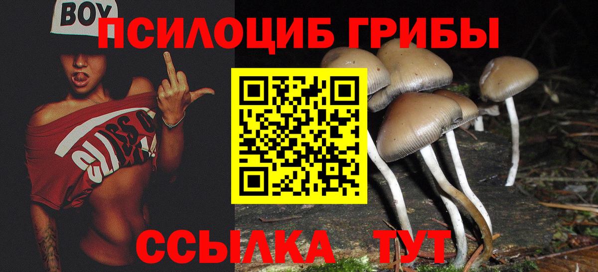 Галлюциногенные грибы ЛСД  Вход с VPN  купить  сайты  Котельники 